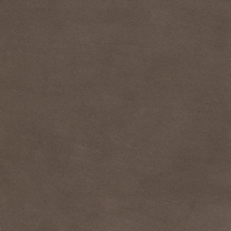 Swatch image for 547 Dust